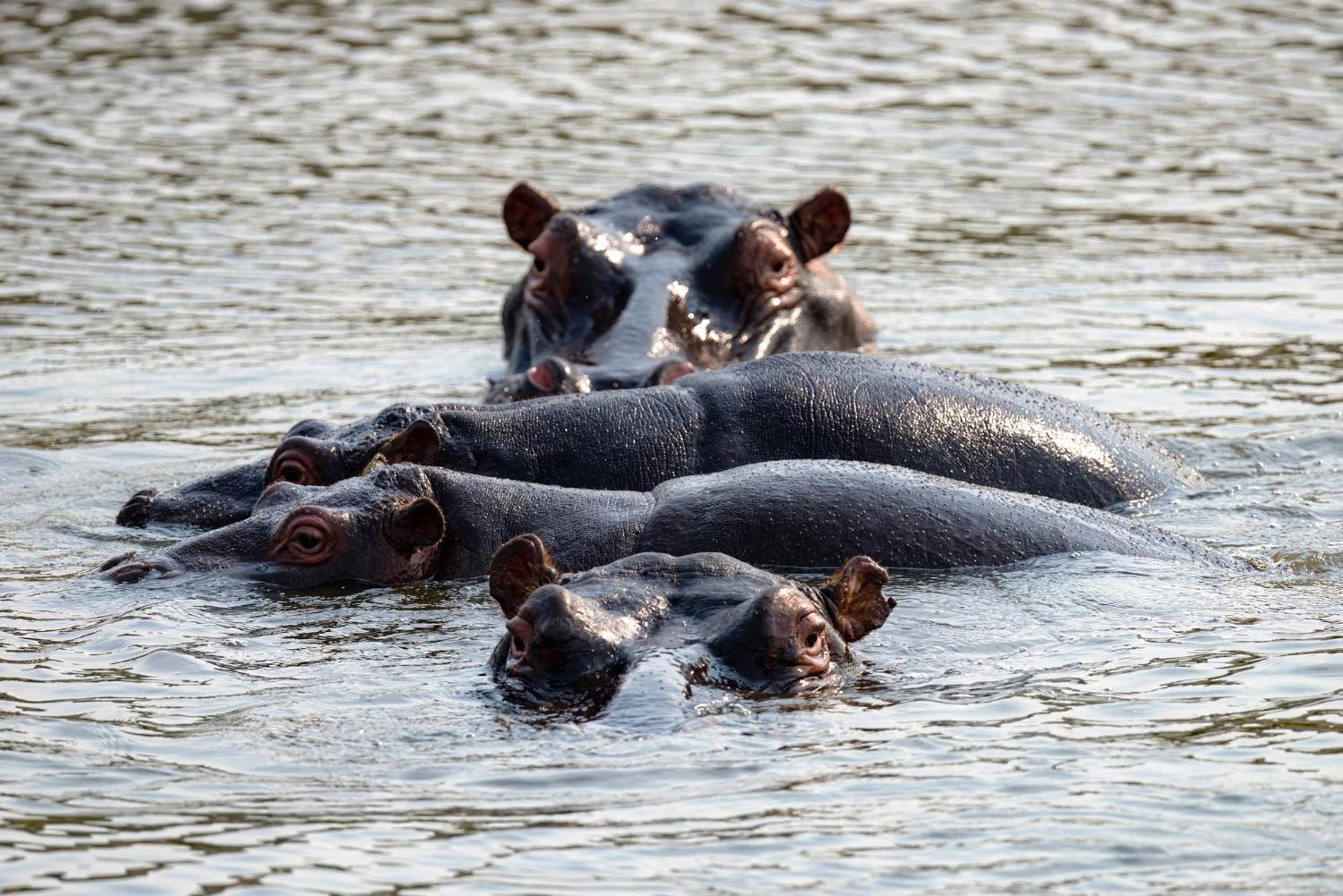 Valley Lodge - Babanango Game Reserve Данди Экстерьер фото