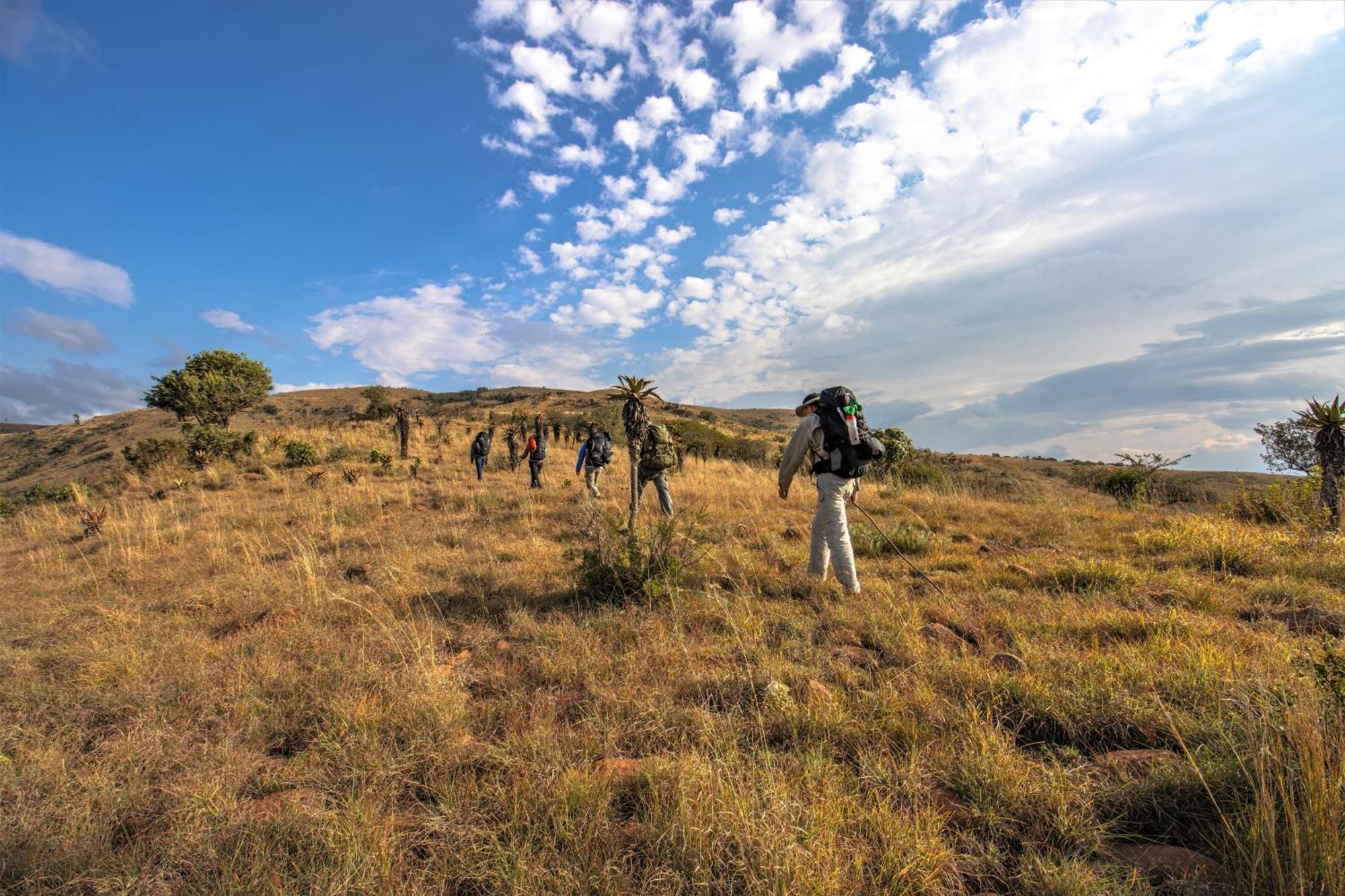 Valley Lodge - Babanango Game Reserve Данди Экстерьер фото